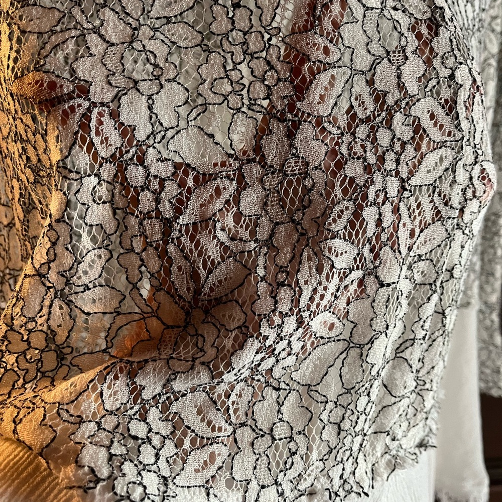 Free People Black and White Lace Tunic - Picture 7 of 9